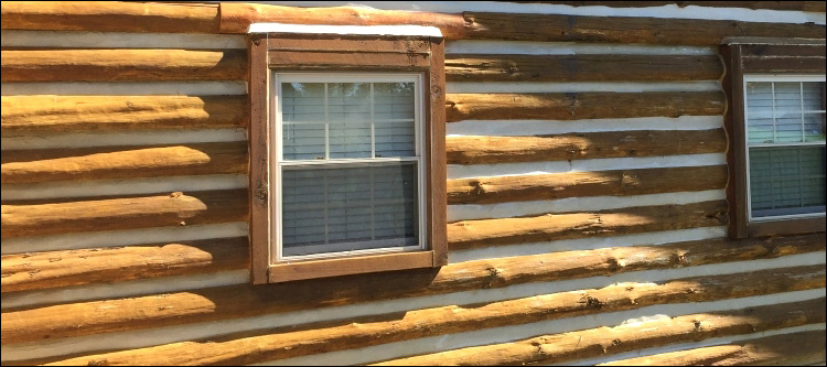 Log Home Whole Log Replacement  Colquitt County, Georgia