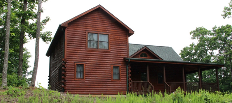 Professional Log Home Borate Application  Colquitt County, Georgia